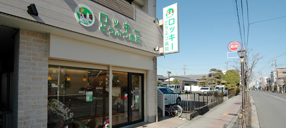 外観